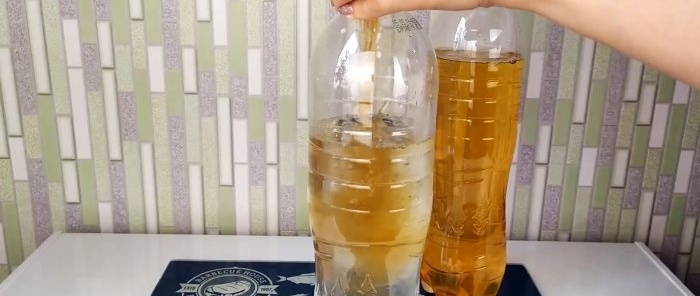 Kvass seperti dari tong, sihat dari chicory