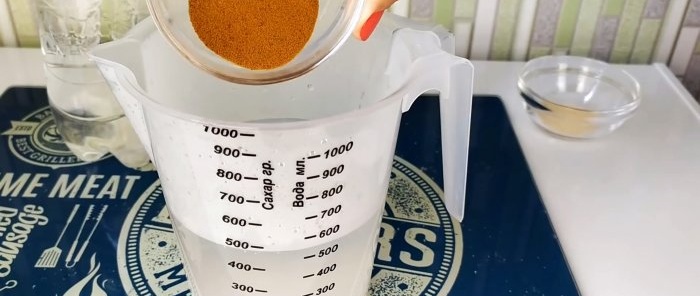 Kvass tulad ng mula sa isang bariles, malusog mula sa chicory