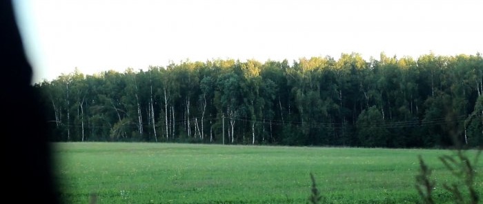 Cómo no dejar el bosque sin setas Consejos de un micólogo profesional