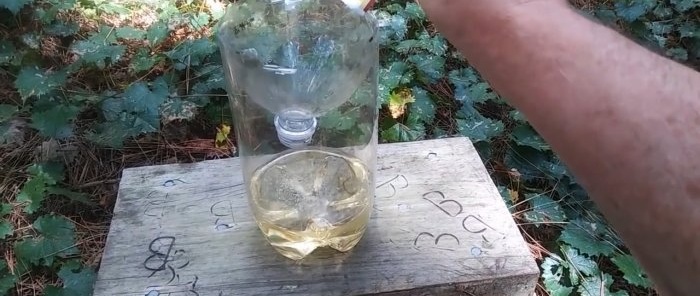 Goodbye wasps I'll show you how to make a bottle trap and forget about poisonous insects