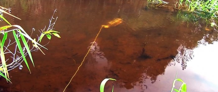 Cómo hacer una trampa para peces capturable con una botella de PET