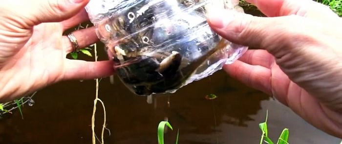 Πώς να φτιάξετε μια παγίδα ψαριών από ένα μπουκάλι PET
