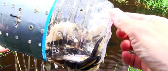 Cómo hacer una trampa para peces capturable con una botella de PET