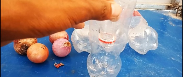 Una nueva y estupenda forma de cultivar cebollas en botellas.