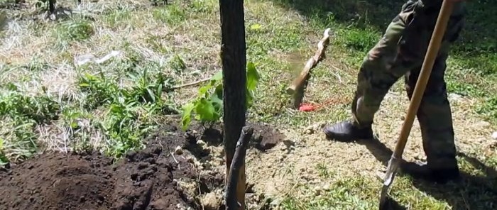 It will not rot How to install wooden posts in the ground