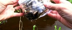 Wie man aus einer PET-Flasche eine fangfähige Fischfalle bastelt