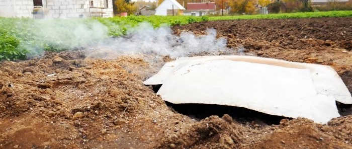 Hoe 5 kg vlees in een kuil in één stuk te bakken