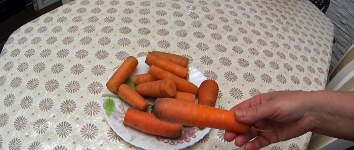 Rokmi overený spoľahlivý spôsob skladovania mrkvy a repy