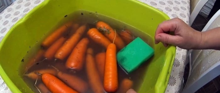 En pålidelig metode til opbevaring af gulerødder og rødbeder, som er blevet bevist gennem årene