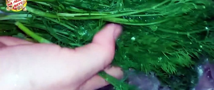 How to keep greens fresh 4 ways to properly freeze