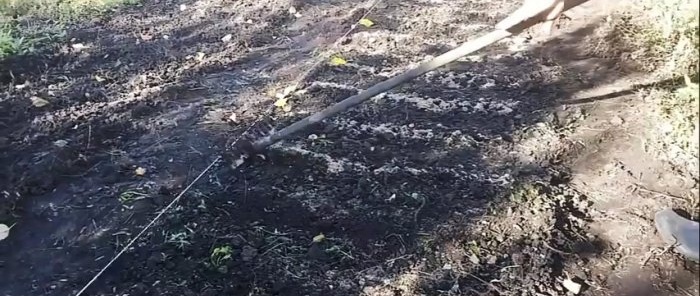 Ako zasadiť cibuľu pred zimou, aby ste dosiahli rekordnú úrodu