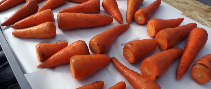 Hvordan holde gulrøtter og rødbeter saftige uten kjeller