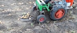 Do-it-yourself simplified potato digger for a walk-behind tractor
