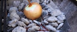 Throw onions on the coals and get a delicacy