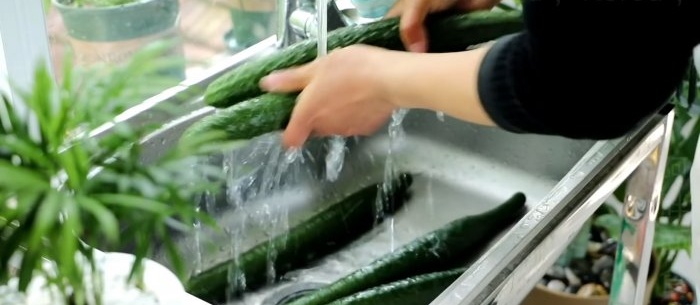 In de toekomst zullen komkommers zo gegeten worden. Huisgemaakte komkommernoedels, een gerecht dat iedereen zich zal herinneren