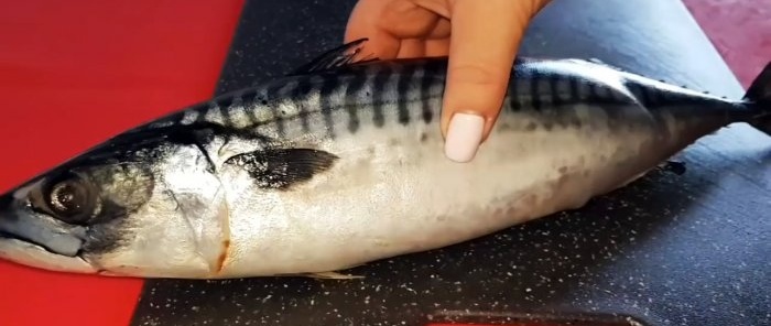 Ilagay lamang ang mackerel sa isang garapon at kalimutan ang tungkol sa baking sleeve