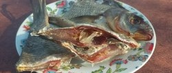 Dried bream: simple and tasty