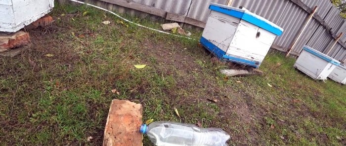 The simplest mousetrap made from a PET bottle in 1 minute