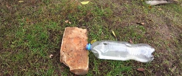 The simplest mousetrap made from a PET bottle in 1 minute