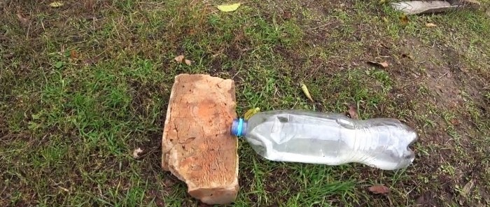 De eenvoudigste muizenval gemaakt van een PET-fles in 1 minuut