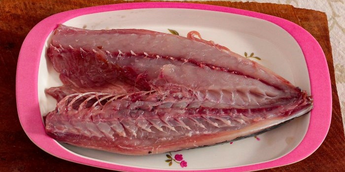 Κουφάρι ψαριού με κορυφογραμμή