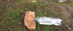 Perangkap tikus paling ringkas dibuat daripada botol PET dalam 1 minit