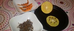 Gyvenimo įsilaužimas: kaip išvaryti tarakonus iš savo namų su prieinamais maisto produktais