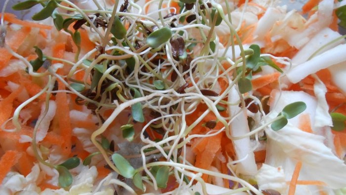 Microgreens di rumah