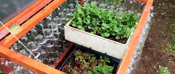 The idea of ​​a homemade greenhouse from PET bottles