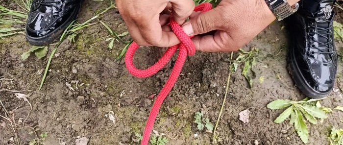 10 useful knots that will come in handy in life