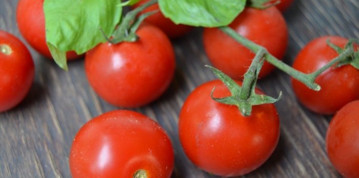 Fidelere doğru domates ekiminin tüm incelikleri ve sırları
