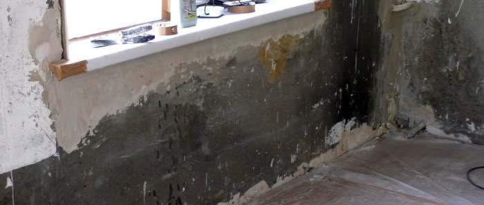 How to get rid of mold in your home and prevent its occurrence forever
