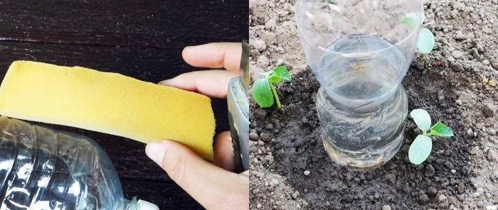 A root watering system made from a PET bottle will help plants and save you water.