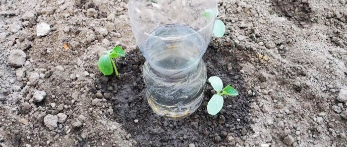 A PET-palackból készült gyökéröntöző rendszer segíti a növényeket és vizet takarít meg.