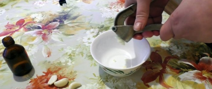 Πώς να παρασκευάσετε ένα βάμμα από σκόρδο και ιώδιο για γρήγορη επούλωση πληγών και μώλωπες