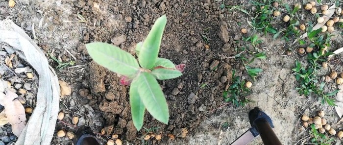 Comment fabriquer une simple tarière de jardin à partir d'une tôle d'acier