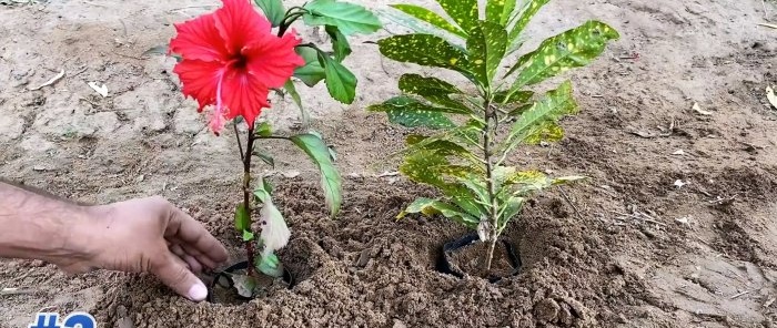 6 eines per als jardiners amb Ali Express que us facilitaran la vida