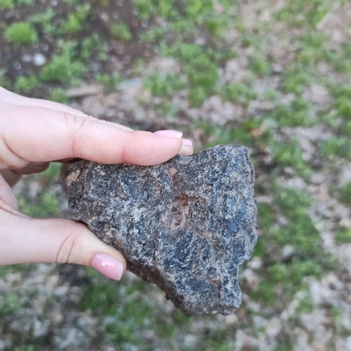 Cómo hacer un terrario en una bombilla.