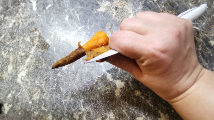 Life hack per a mestresses de casa: per què congelo pastanagues sense rentar i quins són els avantatges d'aquest tipus d'emmagatzematge?