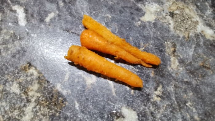 Life hack per a mestresses de casa: per què congelo pastanagues sense rentar i quins avantatges té aquest tipus d'emmagatzematge?
