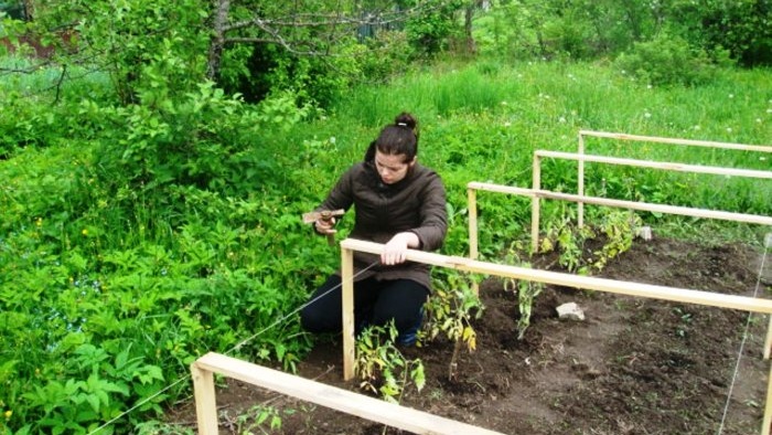 Life hack on how to quickly build a simple greenhouse at the dacha with your own hands