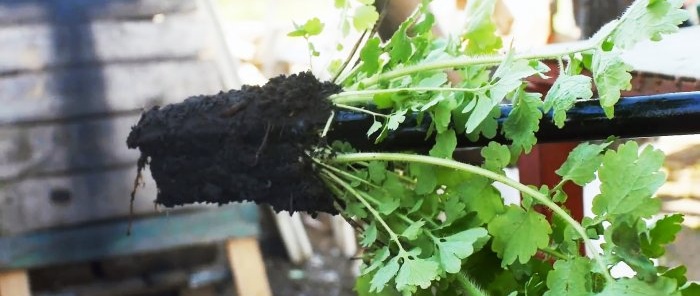 איך להכין כלי להסרת עשבים מאביזרי וצינורות