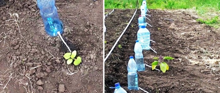 מערכת השקיה בטפטוף למשך 30 יום מבקבוק פלסטיק