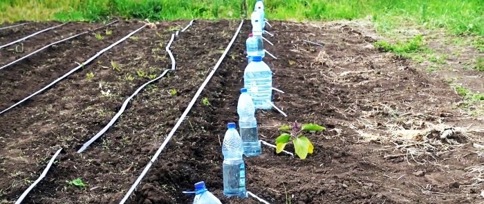 Drip irrigation system for 30 days from a plastic bottle