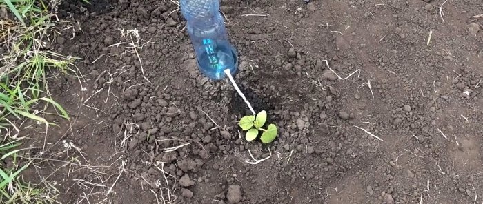 Drip irrigation system for 30 days from a plastic bottle