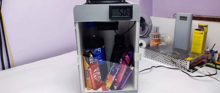 Sådan laver du et 12V minikøleskab med dine egne hænder