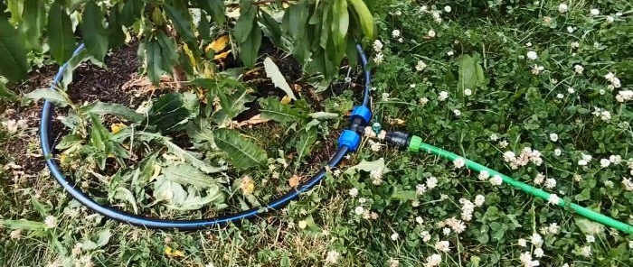 Come realizzare l'irrigazione automatica dell'acqua piovana senza pompe né elettricità