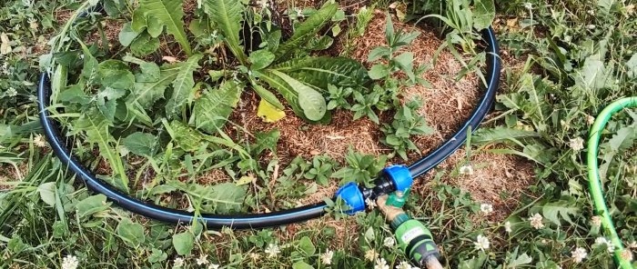 Come realizzare l'irrigazione automatica dell'acqua piovana senza pompe né elettricità