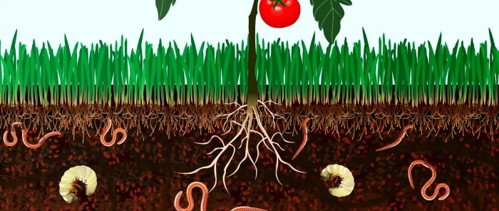 Ako premeniť potravinový odpad na mimoriadne užitočné hnojivo