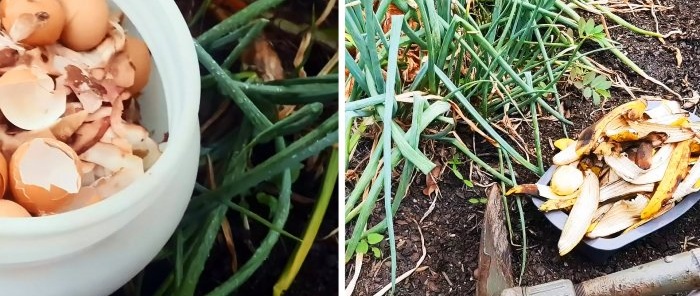 Kā pārtikas atkritumus pārvērst par ārkārtīgi noderīgu mēslojumu